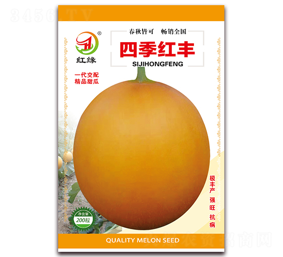 �ļ��t�S-��ϷN��-��(��i)��N�I(y��)