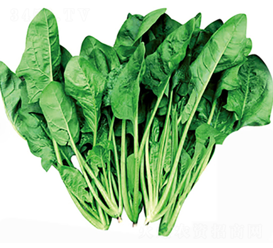 �}Խ�S�~����-���˷N��-����