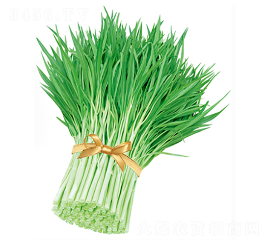 ����׹����~���Ĳ�-���Ĳ˷N��-����