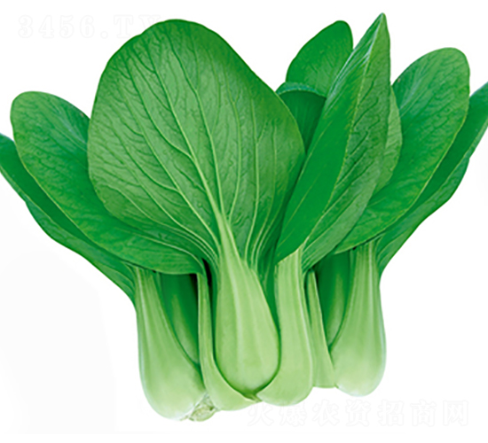 ��(zh��n)������-�๣�˷N��-����