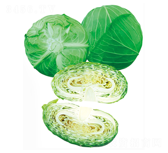 ׷�Ķ�̖(h��o)-���{(l��n)�N��-����