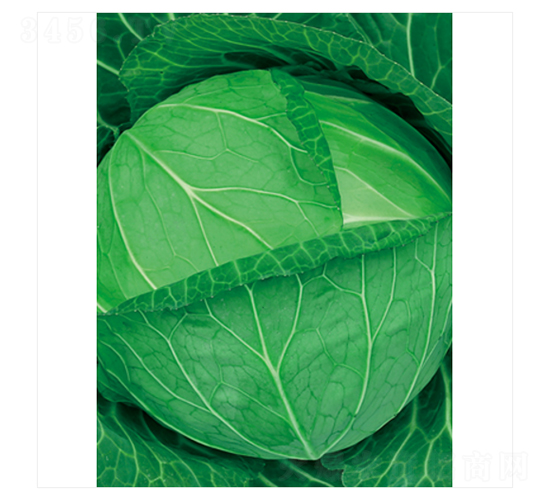 ׷��-���{�N��-����