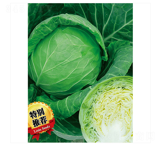 �G��-���{(l��n)�N��-����