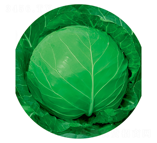 �G��ʯ-���{(l��n)�N��-����