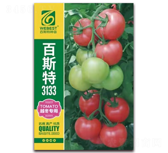 ��˼��3133-���ѷN��-��˹��