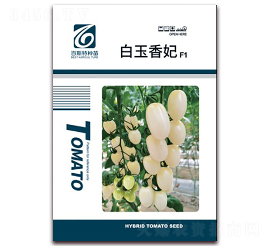 ��������-���ѷN��-��˹��