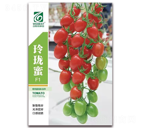 �ᭇ��-���ѷN��-��˹��