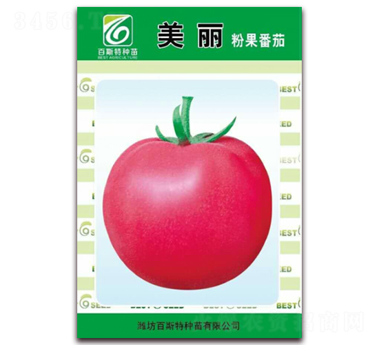 �����۹�����-���ѷN��-��˹��