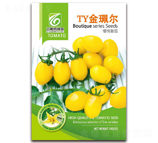 TY�𫘠�-���ѷN��-��˹��