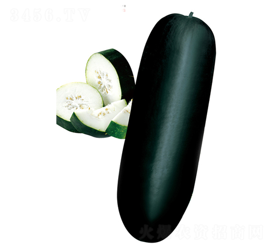 �����Ƥ�󶬹�-���ϷN��-����