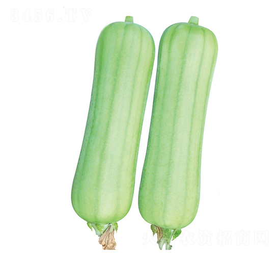 ������̖(h��o)-�z�ϷN��-����