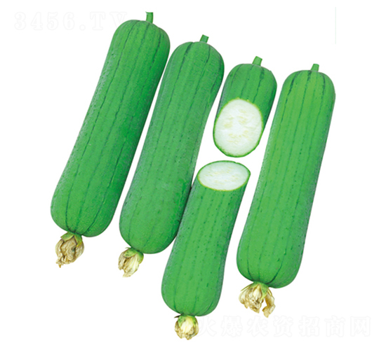 �����z��-�z�ϷN��-����