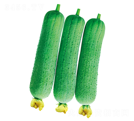 �𸣽z��-�z�ϷN��-����