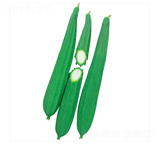 ���c(di��n)�z��-�z�ϷN��-����