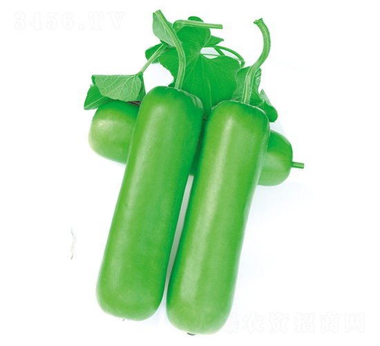 ��ưһ̖-�ѹϷN��-����