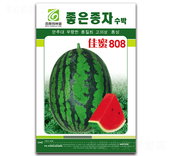 ����808-���ϷN��-��˹��