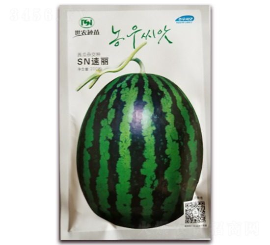 sn����-���ϷN��-��˹��