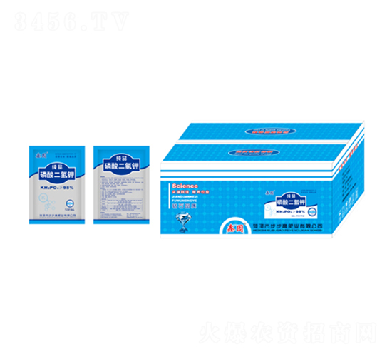 ��������-�Έ@