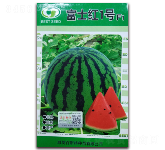 ��ʿ�t1̖-���ϷN��-��˹��