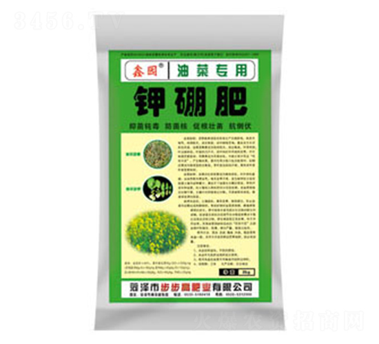 �Ͳˌ�������-�Έ@