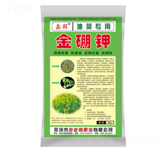 �Ͳˌ��ý����-�Έ@