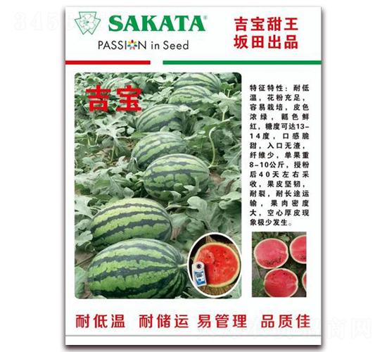 ����-���ϷN��-��˹��