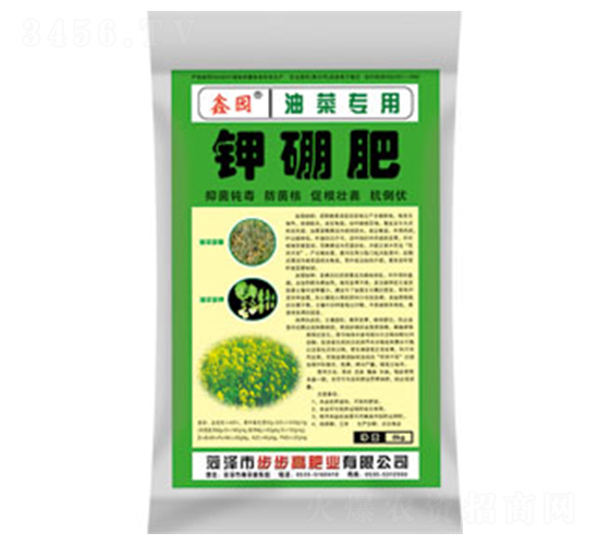 �Ͳˌ�����⛷�-�Έ@