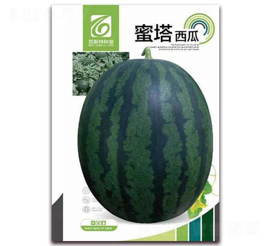 ��������-���ϷN��-��˹��