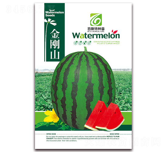 ����ɽ-���ϷN��-��˹��