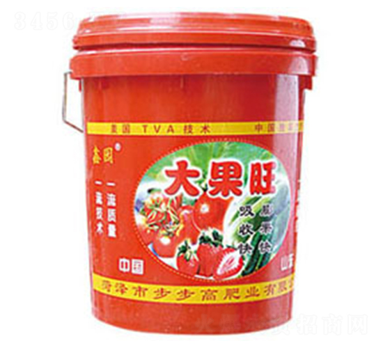 �_ʩ��-�����-�Έ@