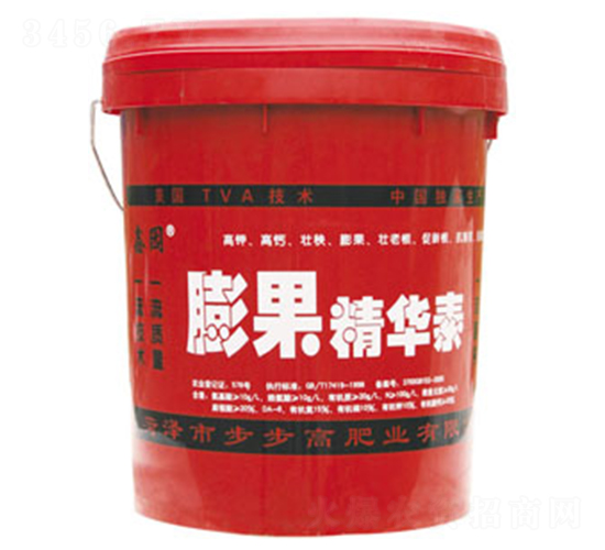 ������A��-�Έ@