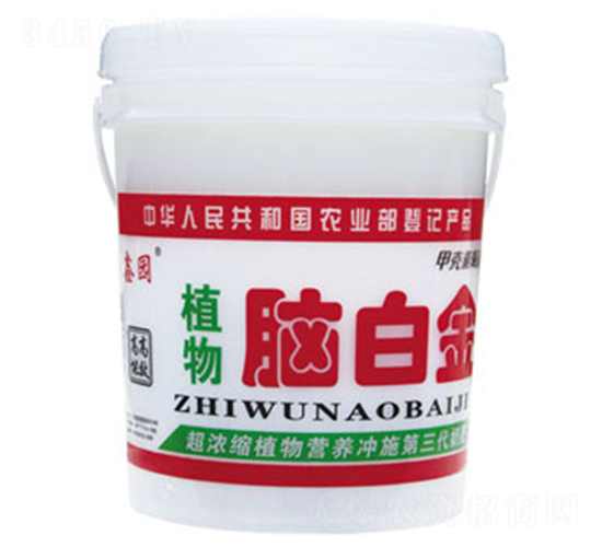 ֲ���X�׽�-�Έ@