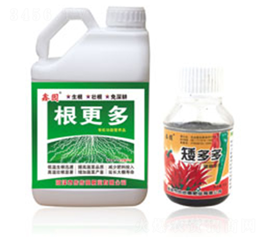 ������+�����-�Έ@