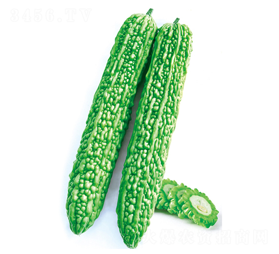 ����-��ϷN��-����