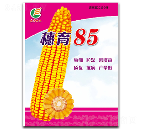 ����85-���׷N��-���S�N�I(y��)