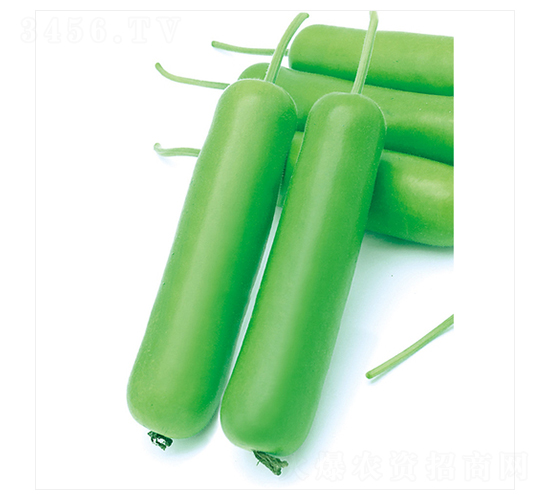 ��ư��̖-�ѹϷN��-����