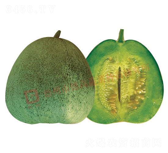 �¸�Q16-��ϷN��-�¸�