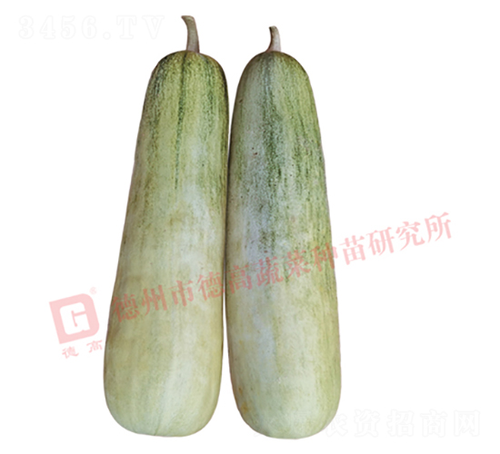 �¸�S60-��ϷN��-�¸�