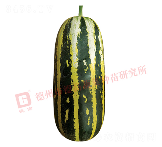 �¸�S120-��ϷN��-�¸�