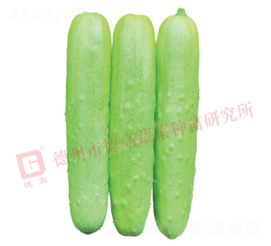 �¸�1928-�S�ϷN��-�¸�