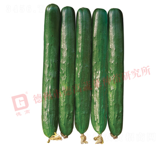 �¸��A��-�S�ϷN��-�¸�