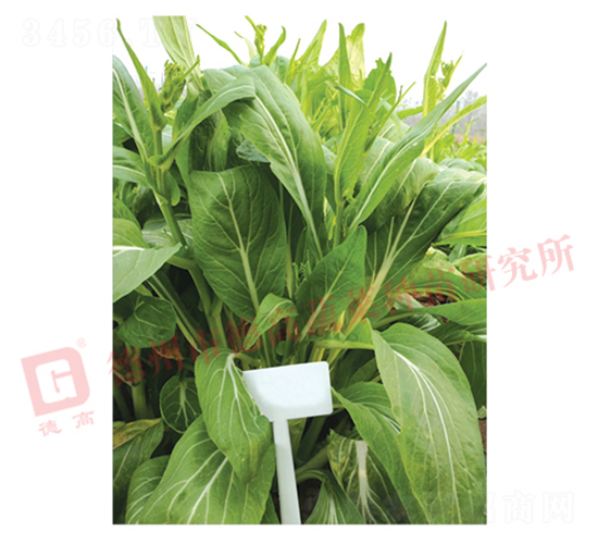 �¸�1987-��޷�N��-�¸�