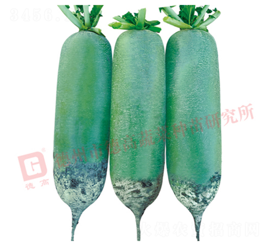 R16-ˮ���}���N��-�¸�