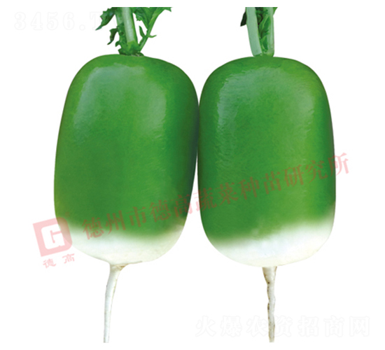 ����-�S�GƤ�}���N��-�¸�