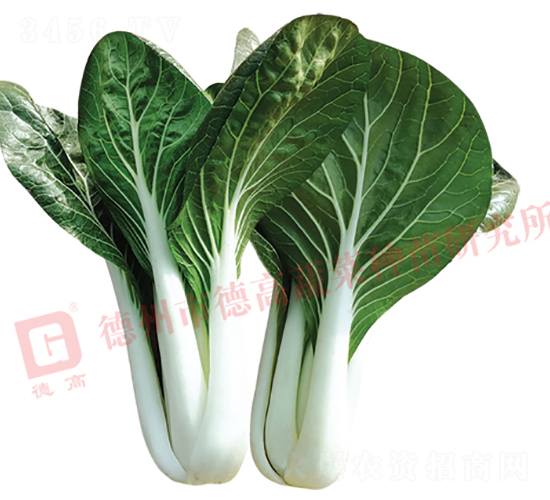 �¸�1343-�׹��˷N��-�¸�