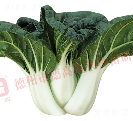 �¸�N914-�׹��˷N��-�¸�