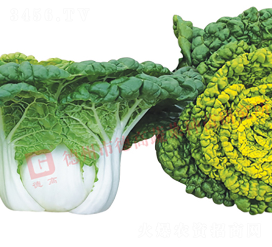 ���6̖(h��o)-�׹��˷N��-�¸�