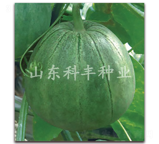 �GС��-��ϷN��-���S�N�I(y��)