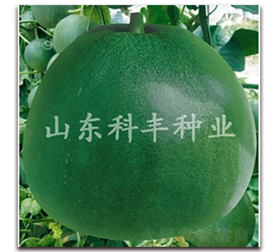 ����䌚-��ϷN��-���S�N�I(y��)