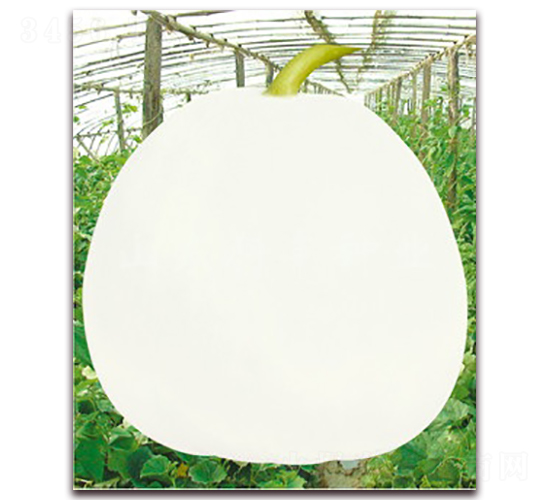 ����-��ϷN��-���S�N�I(y��)